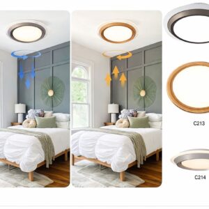 Ceiling Light with Integrated Airflow SAN C213-14 -500